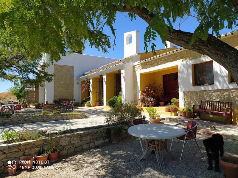 Bed and Breakfast La Escuela Del Campo Setenil De Las Bodegas Exteriér fotografie